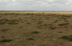 Nanyuki Project phase IV